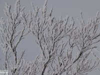 2018-01-13 M. Orsello 113